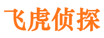 师宗侦探